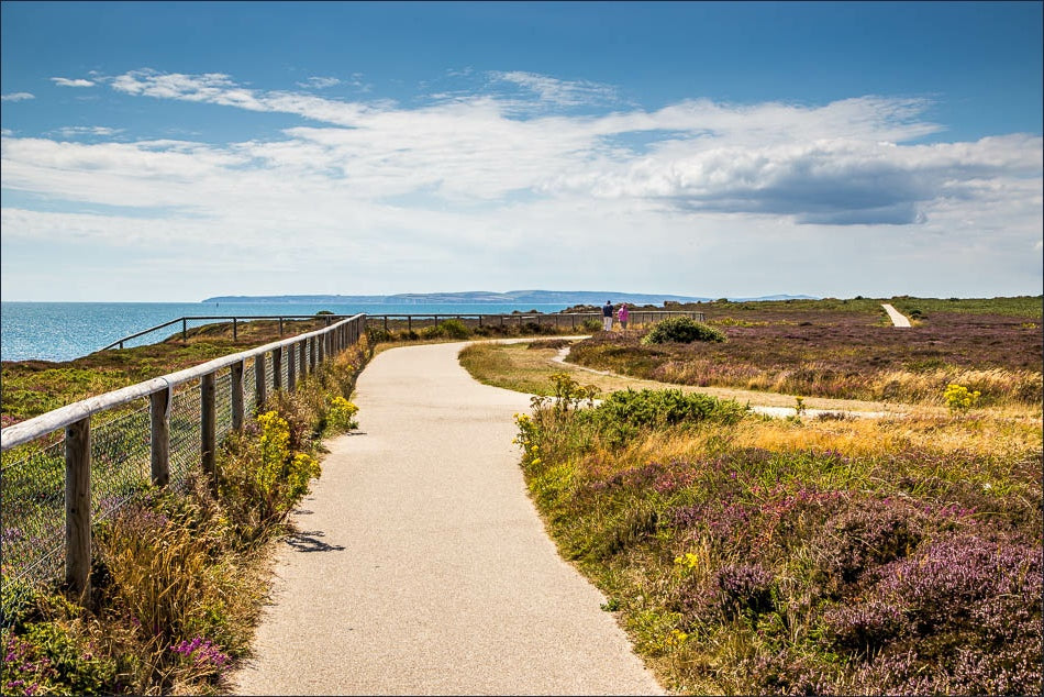 Hengistbury Head Dog Walk – 31st May