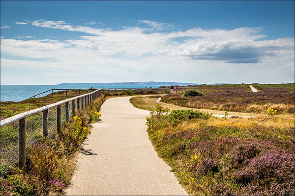 Hengistbury Head Dog Walk – 31st May