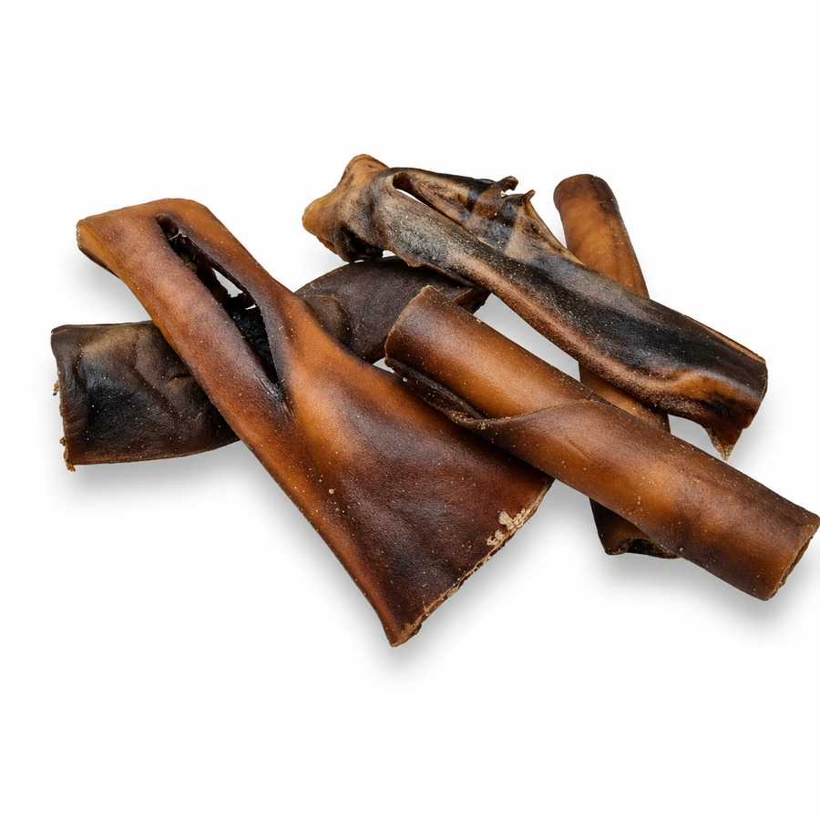 Camel Skin Dog Treat