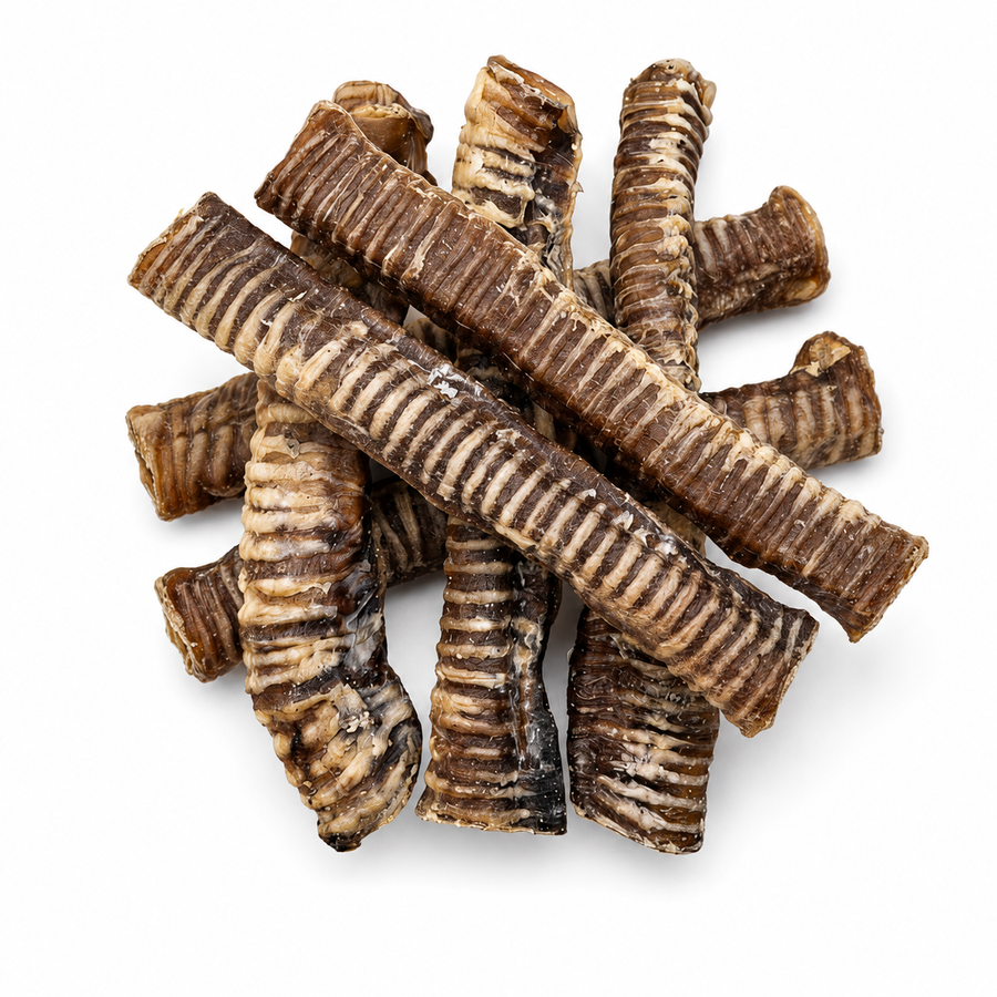 XL Beef Trachea Dog Treat