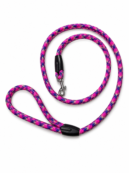 Puppy Training Lead