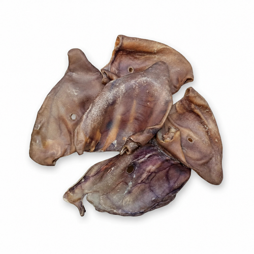 Large Pig Ear Dog Treat