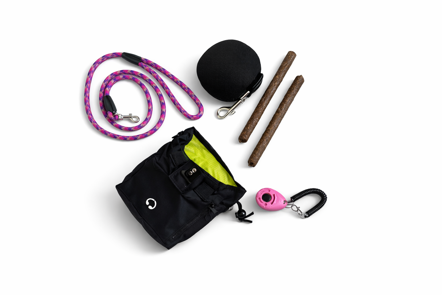 Puppy Training Starter Bundle