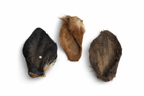 Hairy Cow Ear Bundle