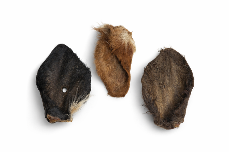 Hairy Cow Ear Bundle